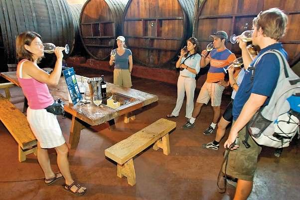 Argentina s Top 20 Wine Tasting around Mendoza 6 ANDREW PEACOCK/GETTY IMAGES With so much fantastic wine on offer, it s tempting just to pull up a bar stool and work you way through a list but