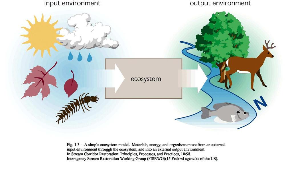 EKOSISTEMSKI PRISTOP Ekosistemi imajo veliko pufersko sposobnost in lahko z naravnimi