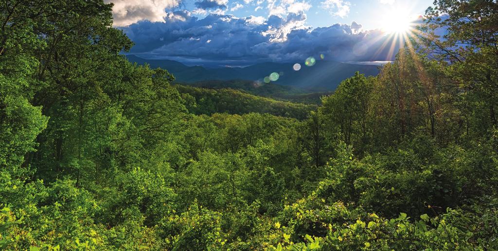 THE GATLINBURG UPDATE Quarterly Newsletter November 2017 Convention & Visitors Bureau As we begin November and look forward to the holiday season, the Convention and Visitors Bureau would like to