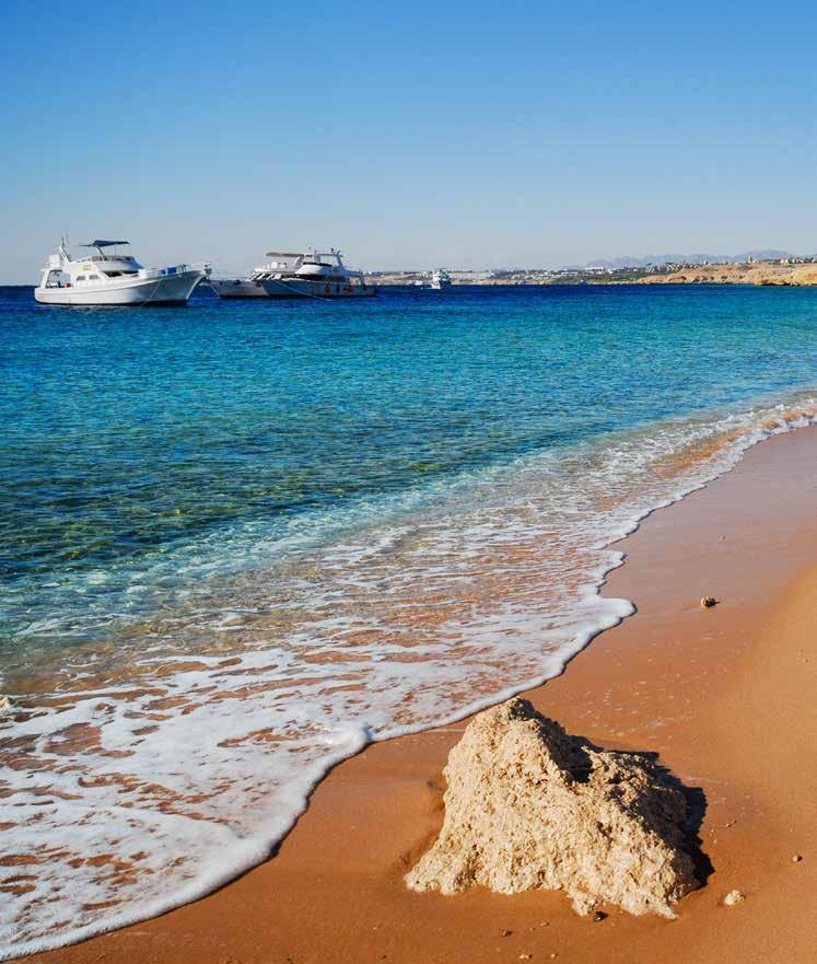 YOUR TOUR DOSSIER HURGHADA BEACH STAY EXTENSION If you have not yet booked this fabulous extension, there is still time to do so.
