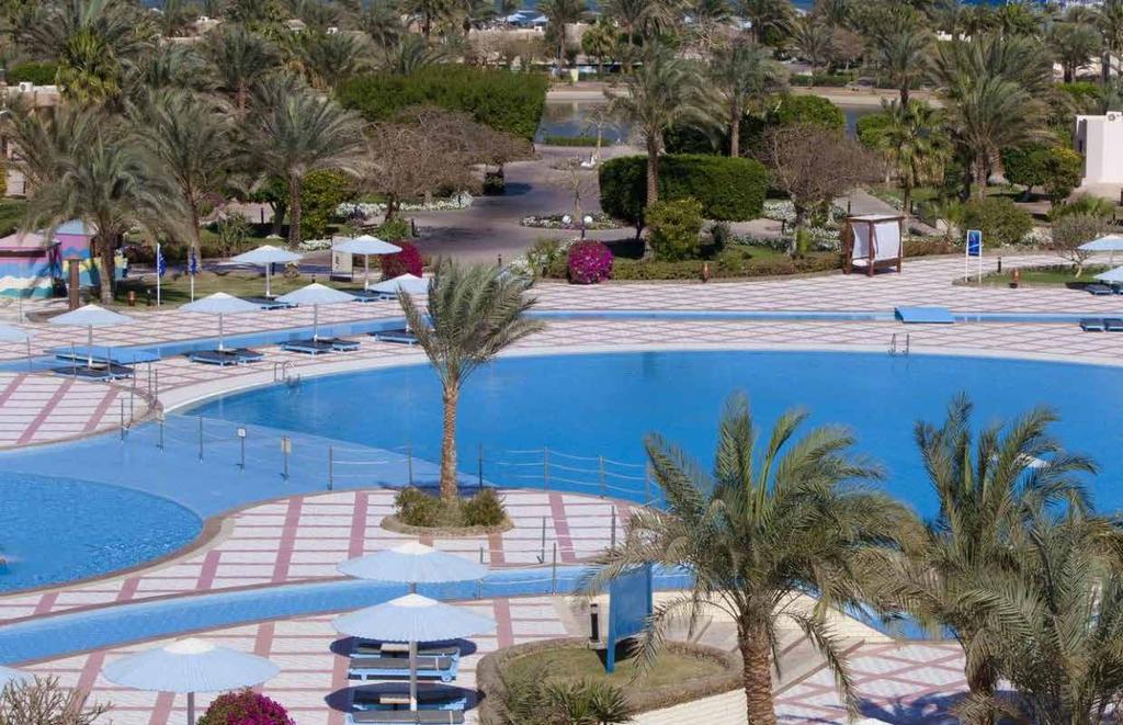 The resort offers a private beach for the world s best scuba diving in the Red Sea s legendary waters, one outdoor pool, one indoor heated pool for relaxing in the sun.