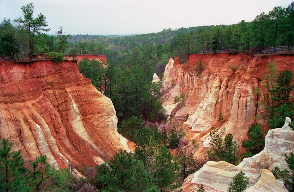 Visitors to Providence Canyon (above and below) are amazed at the breathtaking colors exposed in the canyon walls. Thomas J. Stonewall Jackson.