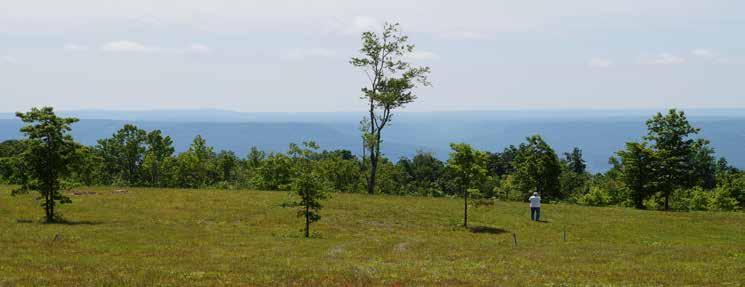 Jasper Highlands Properties Tennessee Mountain Homesites / Land & Acreage / Call 888-777-5758 RB198 3.12 $89,900 Scenic acreage with lots of road frontage RB190 6.