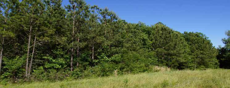 84 $99,900 Secluded homesite with beautiful views RB163 1.4 $59,900 RB152 3.4 $109,900 Private mountain property at the end of a culde-sac Mountain acreage backed up to preserved area RB138 0.