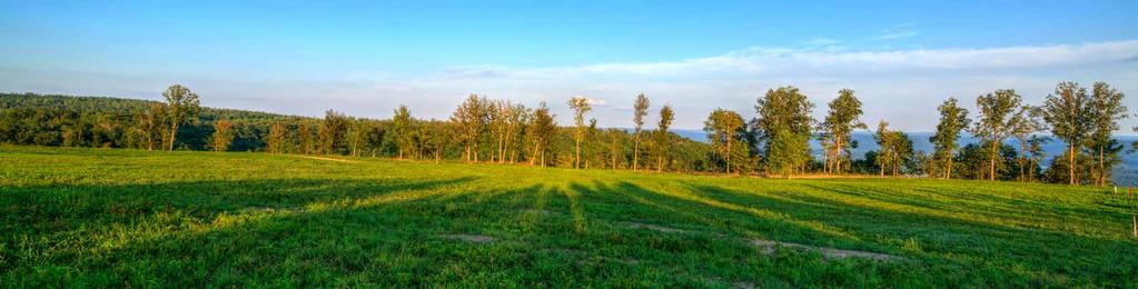 Jasper Highlands Properties Tennessee Mountain Homesites / Land & Acreage / Call 888-777-5758 RB127 7.71 $119,900 JUST SOLD! RB94 1.