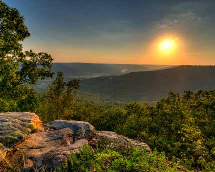 Spanning the entire width of the southern tip of the Cumberland Plateau, properties in this phase offer both sunrise and sunset views, creeks