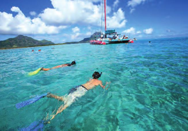 A snorkelling break in the clear tropical sea, a barbecue lunch treat and some relaxing time will add to making this catamaran cruise an even more awesome experience.