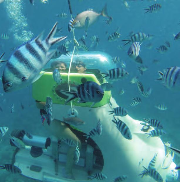 You are guaranteed a good time and an unforgettable experience with this unique underwater trip.