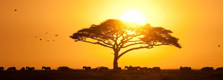 ANDY BIGGS WHY TANZANIA? Visiting Tanzania will feel like stepping into your wildest dream.