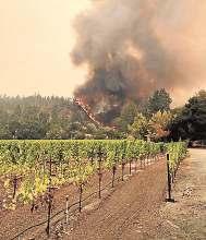 54 November 3rd to 9th 2017 FOOD&DRINK A. J. LINN FIRE IN THE VINEYARD Seems like our house is okay but the vineyard has been destroyed, nor are we allowed back for a couple of days.