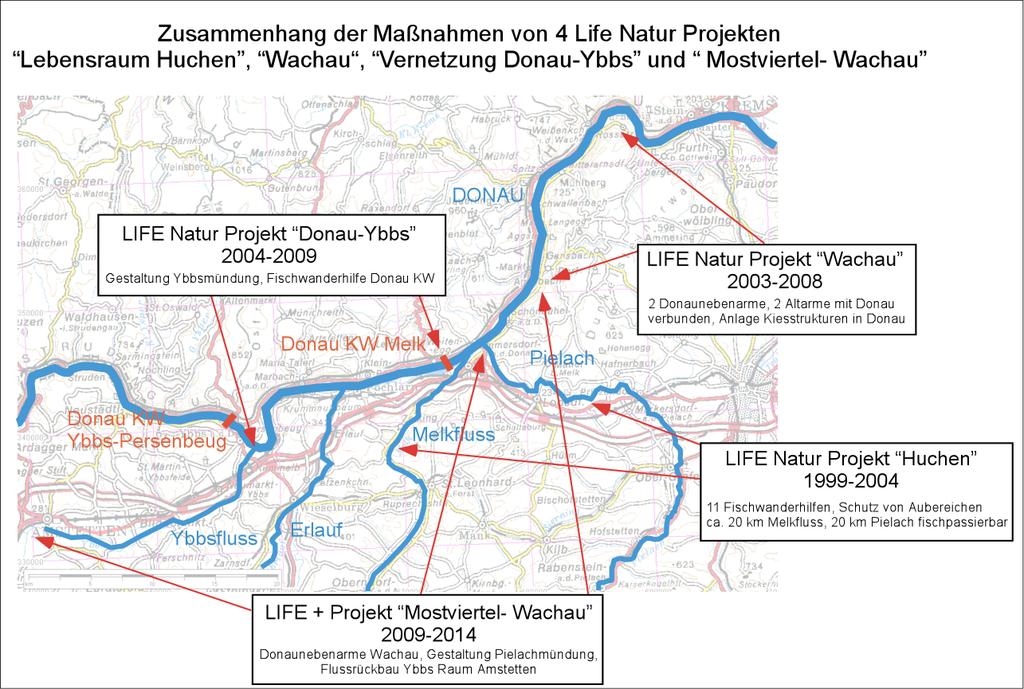 LIFE Project Danube salmon 1999-2004 The project aimed to improve river habitats and populations of threatened fish species which are protected under the conservational obligation of Directive