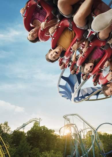 Take a tour with the experts at Busch Gardens as they lead your group into the control rooms and the maintenance bays of some of the worlds most beloved and advanced thrill coasters.