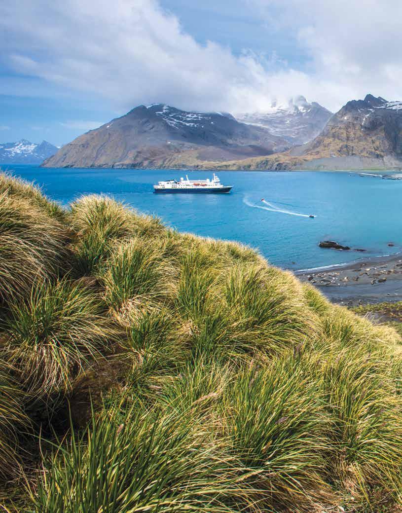 TM Lindblad Expeditions and National Geographic have joined forces to further inspire the world through expedition travel.