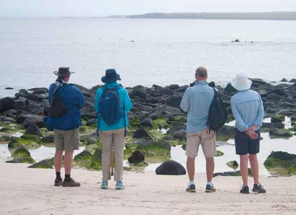 Throughout the walk we saw the marine iguanas with their wild combination of red-black