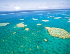 Great Barrier Reef, Cairs UNESCO WORLD HERITAGE SITES (All sites are accessible withi the time alloted i port) AUSTRALIA Kakadu Natioal Park (Darwi) Great Barrier Reef (Cairs) Wet Tropics of Queeslad