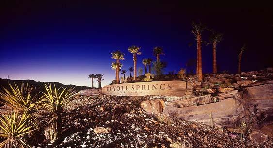 coyote springs, coyote springs, nevada we innovate with purpose AndersonBaron was launched in 2005 by Brett Anderson and