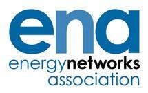 The Voice of the Networks Energy Networks Association Consultation on