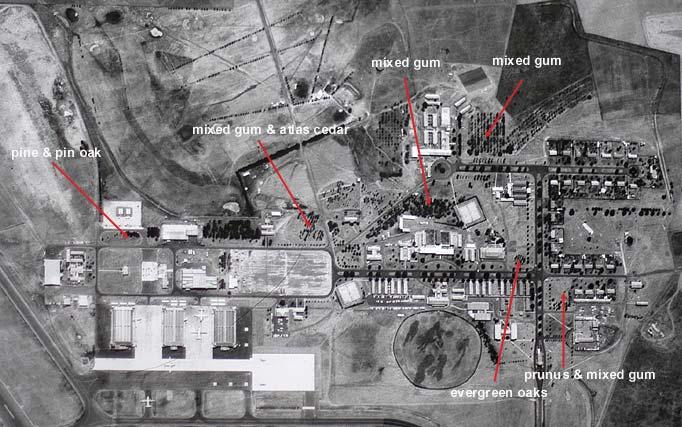 Type of late 1950s, early 1960s plantings shown on the 1968 aerial view of the base 2007 aerial view indicating the current campus style landscape character of the site (Canberra Airport Archives)
