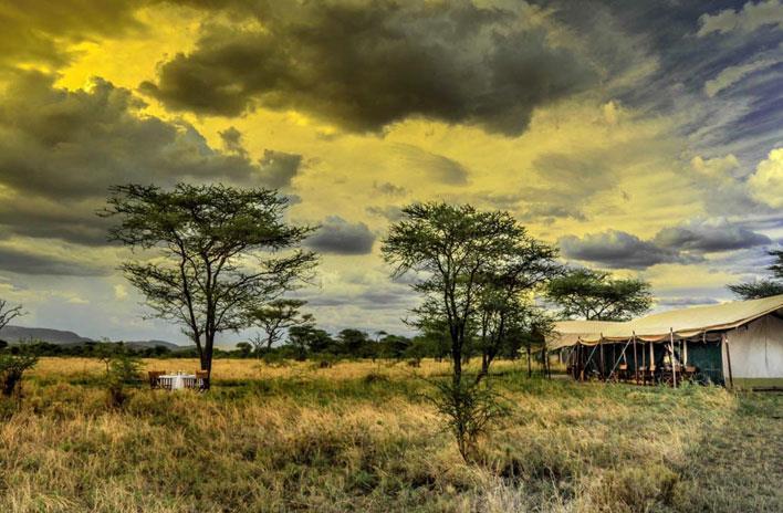 Major game viewing areas of Central, Southern and Western Serengeti are easily accessible and at the end of the day guests can return