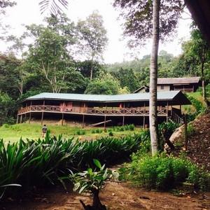 Sapulot : Ramol Longhouse (Homestay) 1 night A stay at Ramol Longhouse provides an opportunity for guests to experience the authentic culture and lifestyle of the indigenous Iban community.