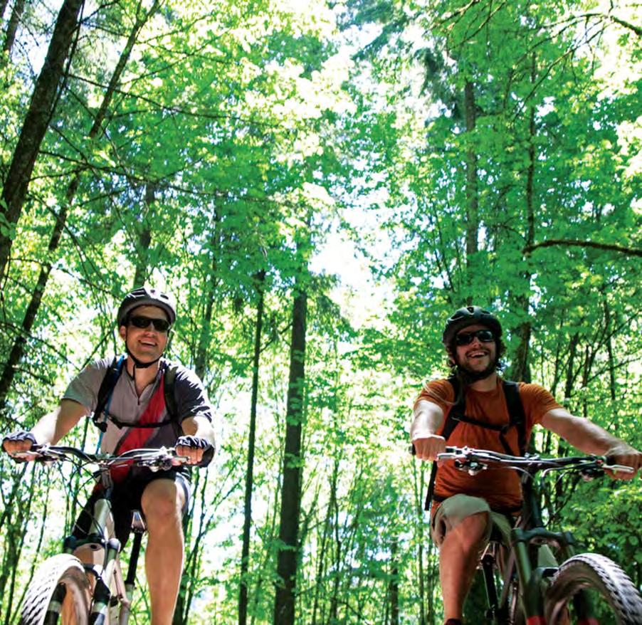WELCOME TO WINDSOR ESSEX PELEE ISLAND TRAIL GUIDE The Windsor, Essex and Pelee Island region is special in many ways.