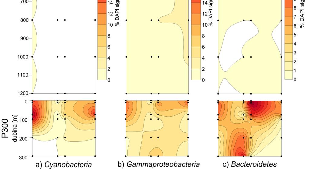 razreda Gammaproteobacteria i koljena Bacteroidetes na postajama P1200