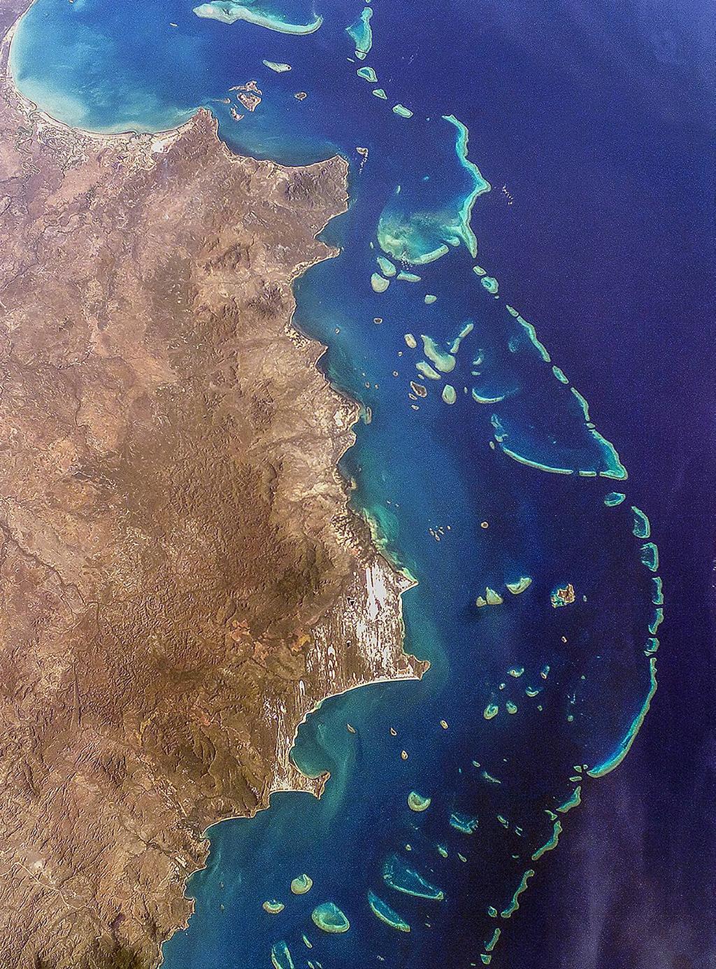 Veliki koralni greben ob vzhodni obali Avstralije gradi 2.900 manjših in večjih grebenov. Razteza se na dolžini 2.600 kilometrov. Začetki nastanka segajo 20.000 let v preteklost.