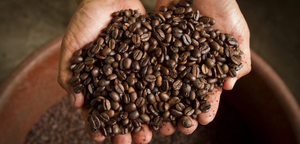 DAY 5 THURSDAY: DISCOVER LAVA JAVA ORGANIC COFFEE FARM We check out and send our luggage ahead to the highlands.