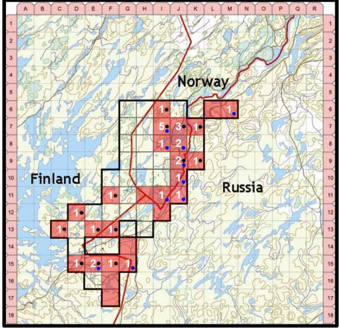 Monitoring of the Pasvik-Inari-Pechenga brown bear population using hair-trapping 2007 2011 2015 196 samples collected 26 of 56 grids showed activity 24 bears identified (10 females, 14 males) 11 new
