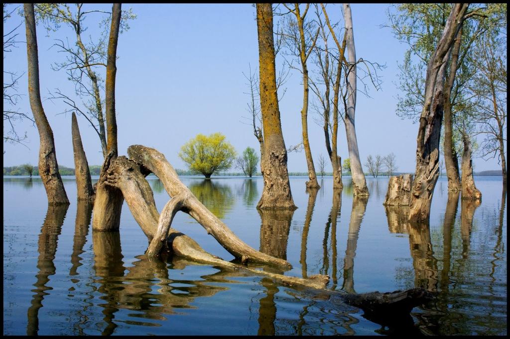 Lonjsko Polje and Mokro polje(croatia) Photo: Boris Krstinić: Lonjska polje_kratećko Ramsar Site Buffer Zone Natural values Cultural Values 50,560 ha (51,218 ha) (Central Posavina) One of the most