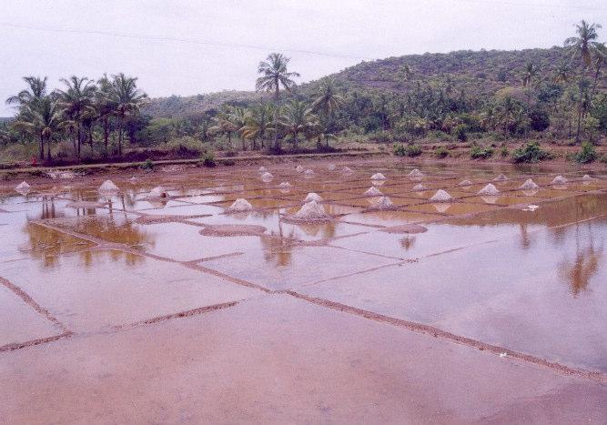 Native Goans used the shoreline and the hinterland water bodies for fishing by using hand-cast and hand pulled nets, gather shells for economic