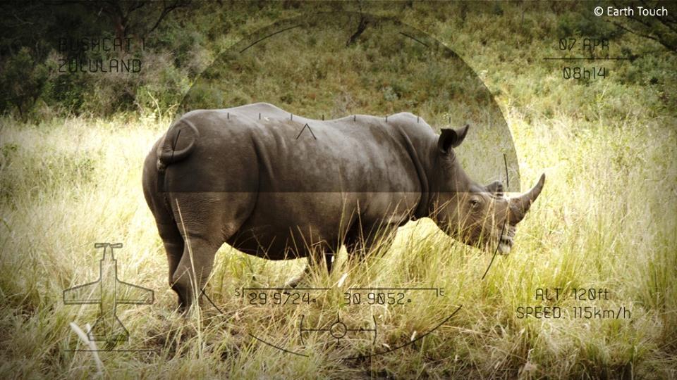 hearts-and-minds messages as a call to action against rhino poaching and