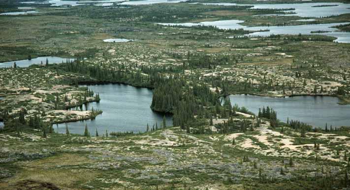 3.4.1 TAIGA SHIELD HIGH SUBARCTIC (HS) ECOREGION Till, outwash and bedrock parent materials in the Taiga Shield High Subarctic (HS) Ecoregion are forested by stunted and open white spruce, black