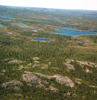 The northern end of the Ecoregion is a bedrock plain with thin till or