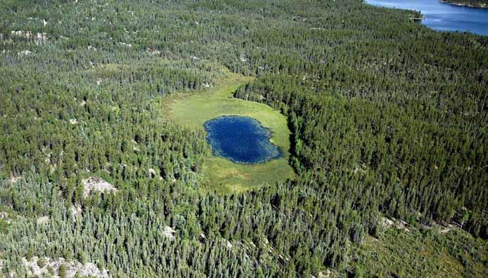 3.4.6 TAIGA SHIELD HIGH BOREAL (HB) ECOREGION Uplands of exposed bedrock or discontinuous till veneers are typical landforms across much of the Taiga Shield High Boreal (HB) Ecoregion.