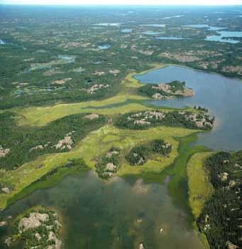 The low-relief bedrock plains, bright green floating and shore fens, pond lily colonies and mixed conifer deciduous forests in this