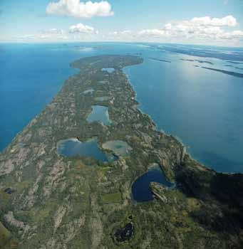 Exposed bedrock and thin lacustrine veneers on the eastern tip of Blanchet Island support black spruce shrub moss forests