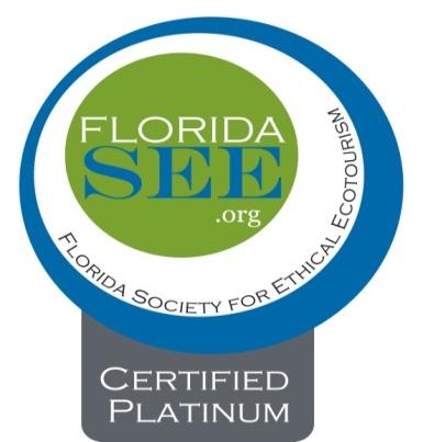 Florida SEE Certification Program: 4 levels of certification are available: Bronze : Provider meets all applicable core criteria Silver: Provider meets all applicable core criteria plus 50% -