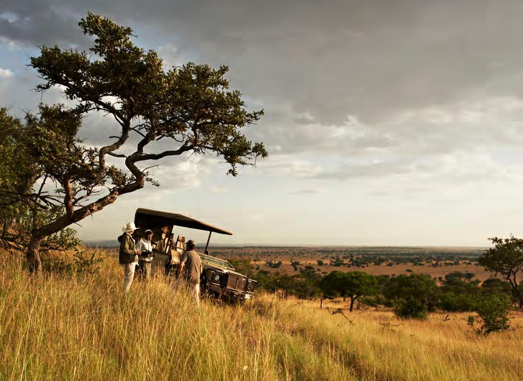 Authentic safari Guests connect up-close and personally with the environment in a way