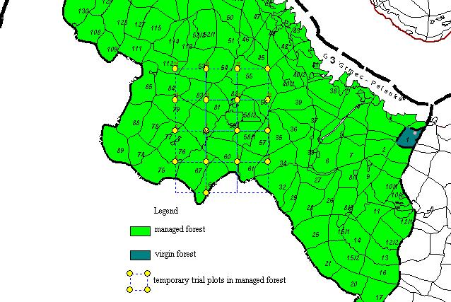 Diverzitet, struktura i tekstura prašume i gospodarske šume bukve i jele sa smrčom na Grmeču u Zapadnoj Bosni Slika 1.