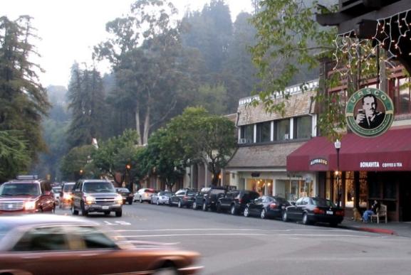 1 ABOUT MILL VALLEY Mill Valley Guidebook 3 Nestled at the foot of Mount Tamalpais and extending to the marshland surrounding Richardson Bay, Mill Valley is located in the beautiful Marin County,