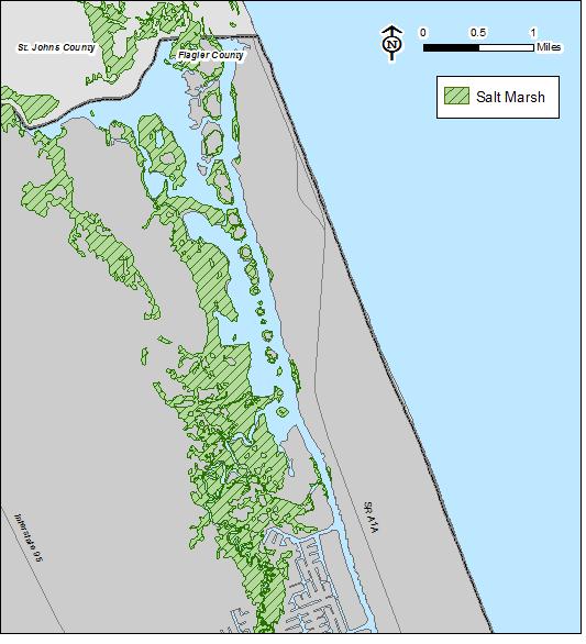 The saltmarsh areas within Flagler County are documented on Figures 25-29.