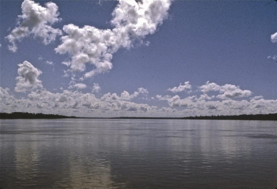 PLATE 12-31 Amazon River