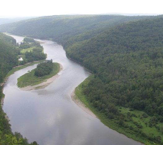 STATE OF CANADA S PARKS REPORT Restigouche River - Steve Reid, CPAWS New Brunswick New Brunswick New Brunswick waffles on expanded protected areas system With only 3% of the province protected, New