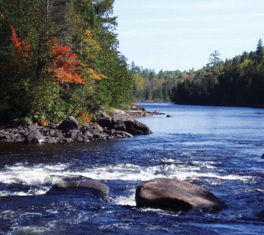 Beacons of hope for parks Dumoine River, Quebec - Marie-Eve Marchand Quebec s Dumoine River AquATic Reserve could protect vital watershed The Dumoine River flows south from western Quebec s boreal