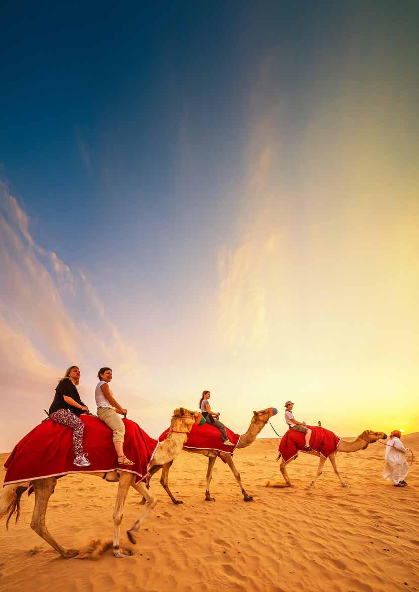 Dubai & Arabian Gulf Toolkit 16 Shore excursions Our destination experts only ever recommend