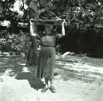 Bajtarji iz vasi ob Udin borštu so npr. take svitke rabili, ko so iz gozda nosili na rami borovce les za kurjavo - ali butare na glavi (nekateri si še danes tako priskrbijo nekaj lesa za kurjavo).