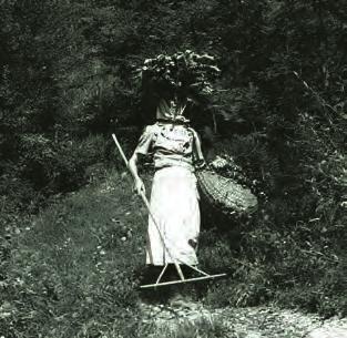 (Photo Library of the Slovene Ethnographic Museum) V prvi polovici 19. stoletja in prej so ženske rabile svitke tudi pri nošnji rude ali oglja z Jelovice v fužine ob njenem vznožju.