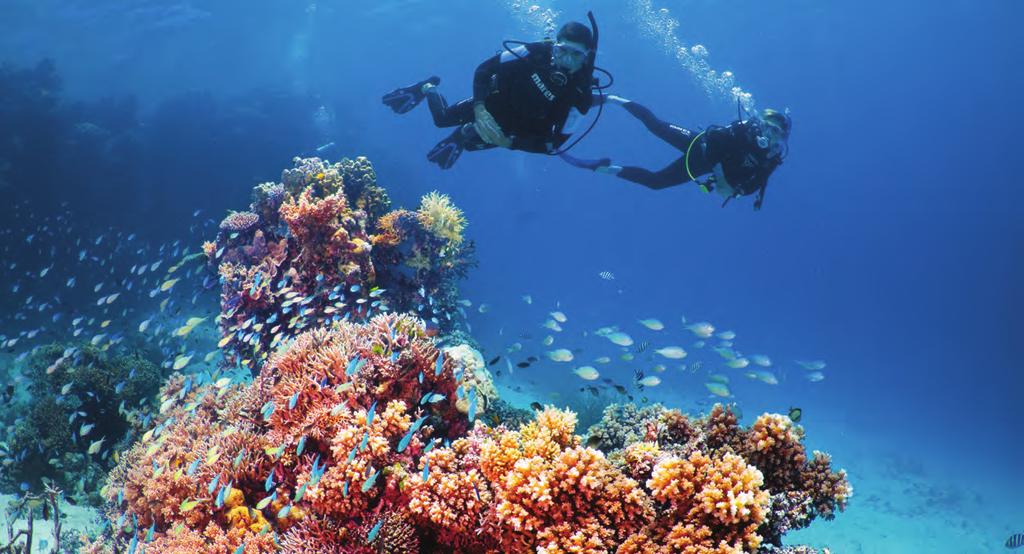 Queensland Ecotourism Plan 2013-2020 Many Whitsundays experiences are based on pristine natural environments (marine and terrestrial); discovering Australia (nature, people, culture); and enjoying