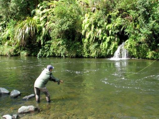 Your guide will share his knowledge of the stream pool by pool as you cast to rainbow and